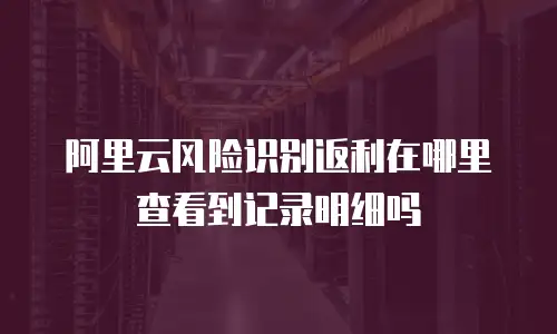 阿里云风险识别返利在哪里查看到记录明细吗