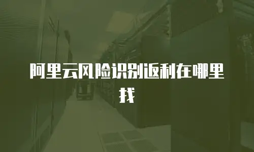 阿里云风险识别返利在哪里找
