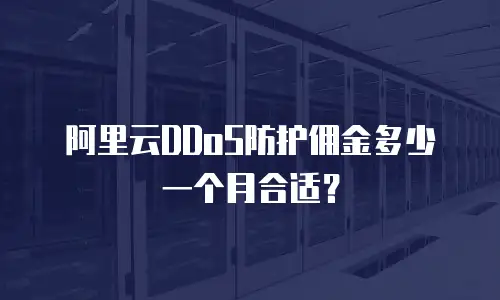 阿里云DDoS防护佣金多少一个月合适？