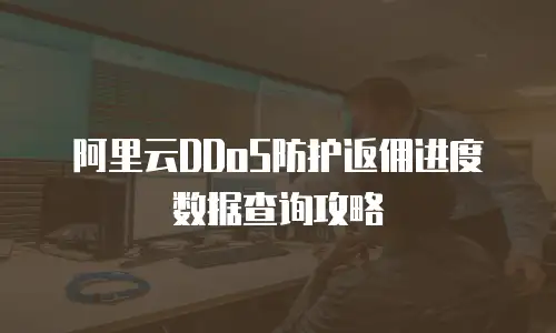 阿里云DDoS防护返佣进度数据查询攻略