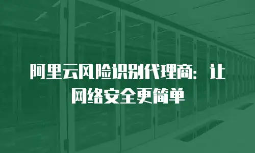 阿里云风险识别代理商：让网络安全更简单