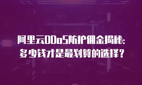 阿里云DDoS防护佣金揭秘：多少钱才是最划算的选择？