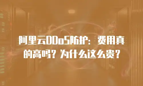 阿里云DDoS防护：费用真的高吗？为什么这么贵？
