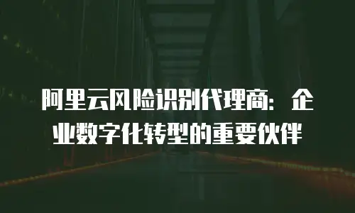 阿里云风险识别代理商：企业数字化转型的重要伙伴