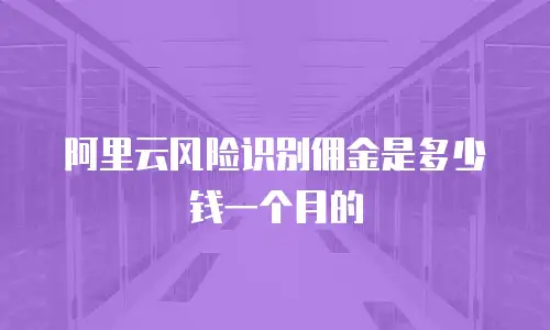 阿里云风险识别佣金是多少钱一个月的