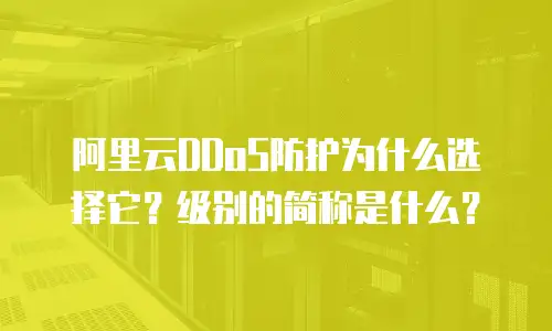 阿里云DDoS防护为什么选择它？级别的简称是什么？