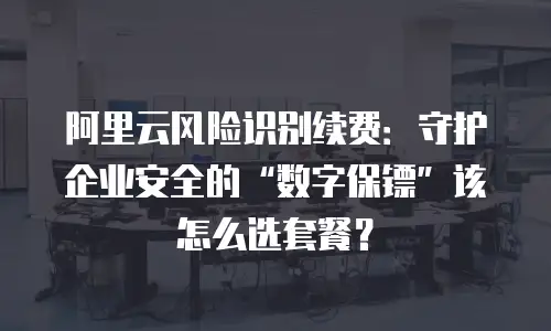 阿里云风险识别续费：守护企业安全的“数字保镖”该怎么选套餐？