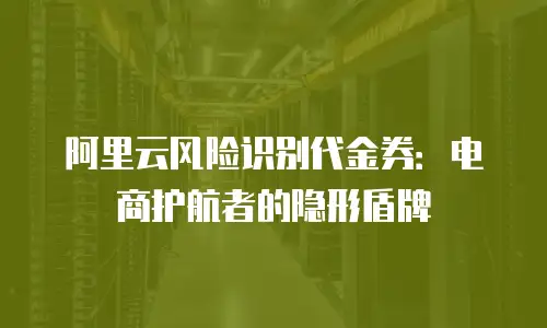 阿里云风险识别代金券：电商护航者的隐形盾牌