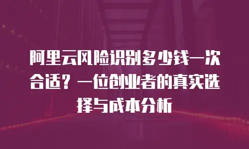 阿里云风险识别多少钱一次合适？一位创业者的真实选择与成本分析