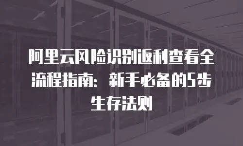 阿里云风险识别返利查看全流程指南：新手必备的5步生存法则