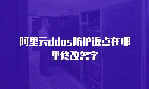 阿里云ddos防护返点在哪里修改名字