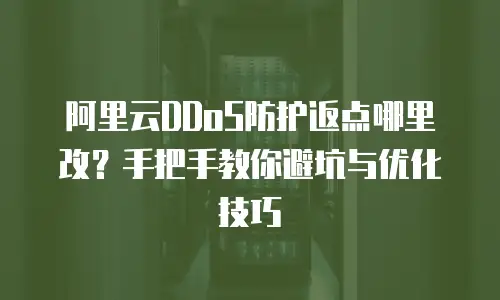 阿里云DDoS防护返点哪里改？手把手教你避坑与优化技巧