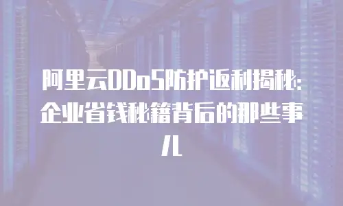 阿里云DDoS防护返利揭秘：企业省钱秘籍背后的那些事儿