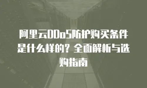 阿里云DDoS防护购买条件是什么样的？全面解析与选购指南