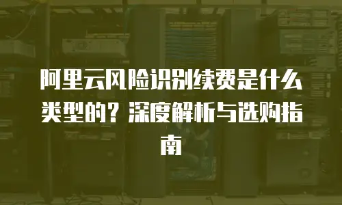 阿里云风险识别续费是什么类型的？深度解析与选购指南