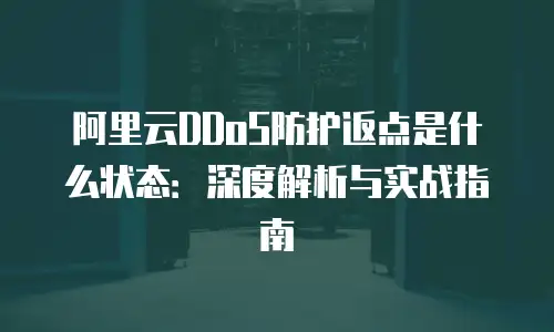阿里云DDoS防护返点是什么状态：深度解析与实战指南