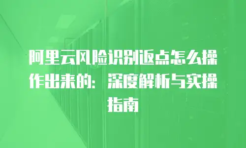 阿里云风险识别返点怎么操作出来的：深度解析与实操指南
