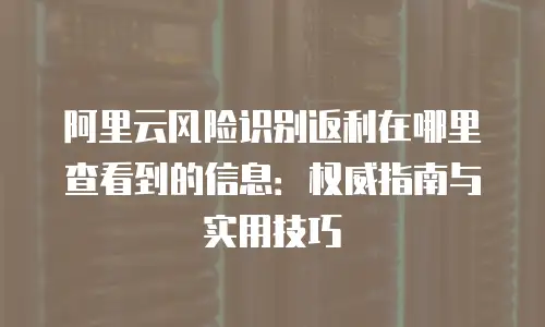 阿里云风险识别返利在哪里查看到的信息：权威指南与实用技巧