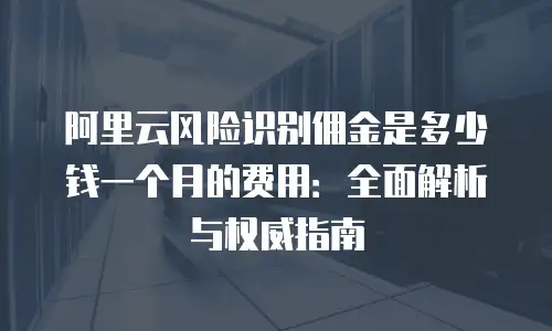 阿里云风险识别佣金是多少钱一个月的费用：全面解析与权威指南