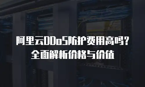 阿里云DDoS防护费用高吗？全面解析价格与价值