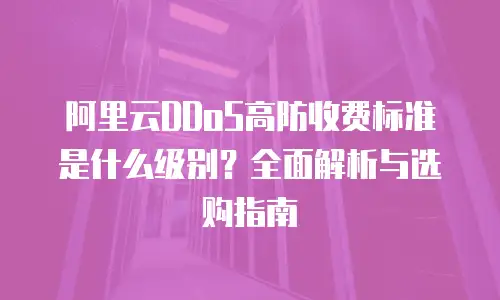 阿里云DDoS高防收费标准是什么级别？全面解析与选购指南