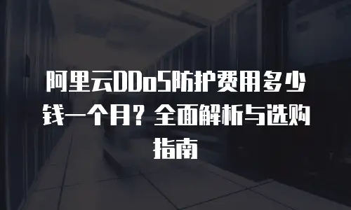 阿里云DDoS防护费用多少钱一个月？全面解析与选购指南