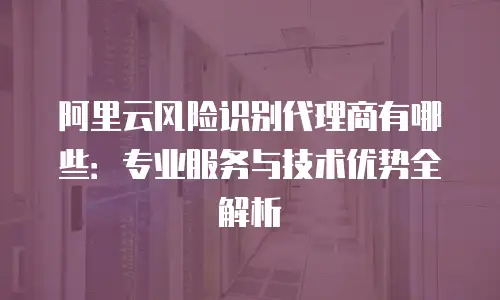 阿里云风险识别代理商有哪些：专业服务与技术优势全解析