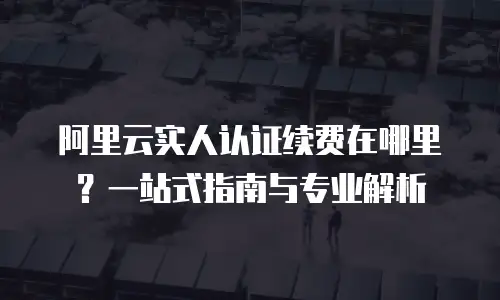 阿里云实人认证续费在哪里？一站式指南与专业解析