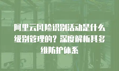 阿里云风险识别活动是什么级别管理的？深度解析其多维防护体系