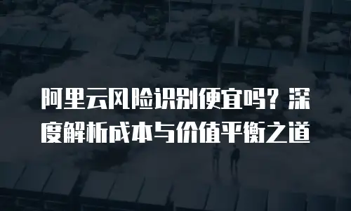 阿里云风险识别便宜吗？深度解析成本与价值平衡之道