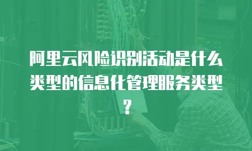 阿里云风险识别活动是什么类型的信息化管理服务类型？
