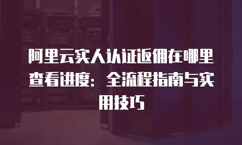 阿里云实人认证返佣在哪里查看进度：全流程指南与实用技巧