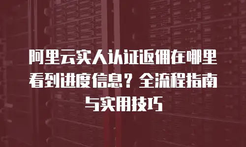 阿里云实人认证返佣在哪里看到进度信息？全流程指南与实用技巧