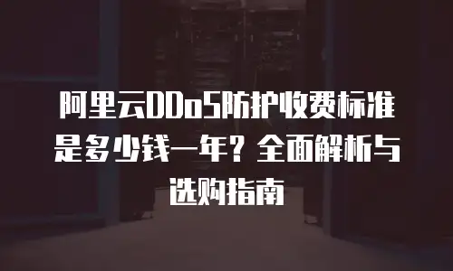 阿里云DDoS防护收费标准是多少钱一年？全面解析与选购指南