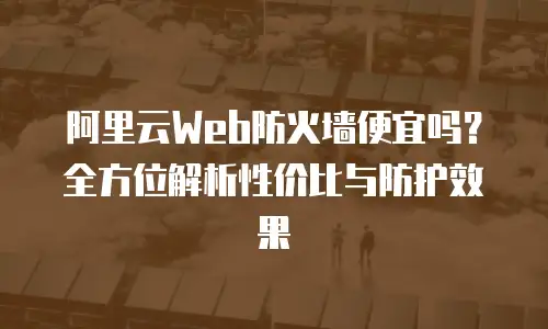 阿里云Web防火墙便宜吗？全方位解析性价比与防护效果
