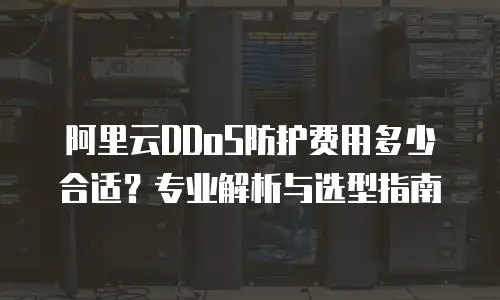 阿里云DDoS防护费用多少合适？专业解析与选型指南