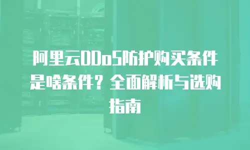 阿里云DDoS防护购买条件是啥条件？全面解析与选购指南