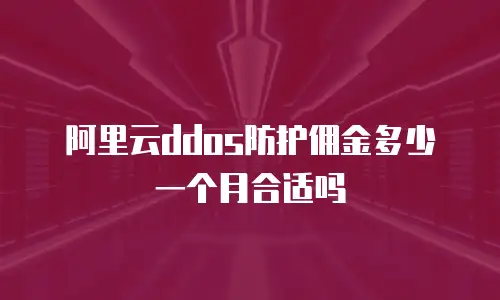 阿里云ddos防护佣金多少一个月合适吗