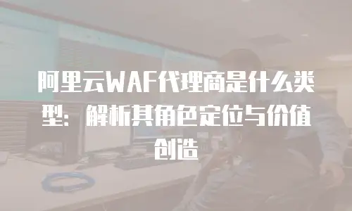 阿里云WAF代理商是什么类型：解析其角色定位与价值创造
