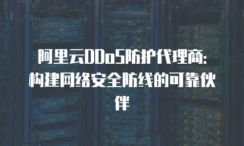 阿里云DDoS防护代理商：构建网络安全防线的可靠伙伴