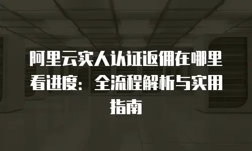 阿里云实人认证返佣在哪里看进度：全流程解析与实用指南