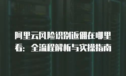 阿里云风险识别返佣在哪里看：全流程解析与实操指南