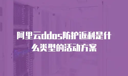 阿里云ddos防护返利是什么类型的活动方案