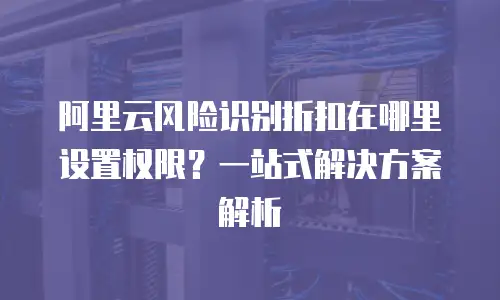 阿里云风险识别折扣在哪里设置权限？一站式解决方案解析  