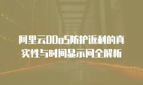 阿里云DDoS防护返利的真实性与时间显示问全解析  