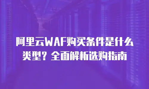 阿里云WAF购买条件是什么类型？全面解析选购指南