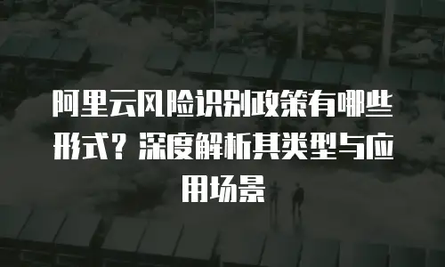 阿里云风险识别政策有哪些形式？深度解析其类型与应用场景