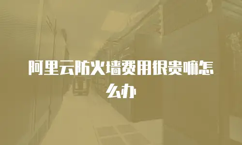 阿里云防火墙费用很贵嘛怎么办