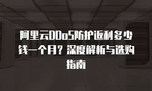 阿里云DDoS防护返利多少钱一个月？深度解析与选购指南