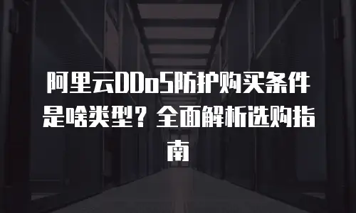 阿里云DDoS防护购买条件是啥类型？全面解析选购指南